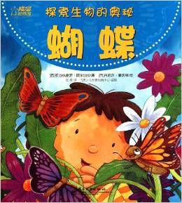 探索生物的奧秘:蝴蝶 探索生物的奧秘:蝴蝶