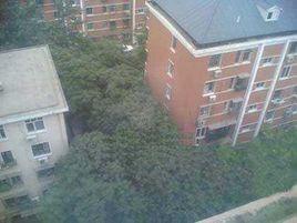 勁松小區 勁松小區