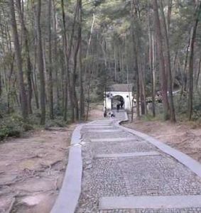 蔣母墓道 蔣母墓道