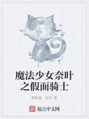 魔法少女奈葉之假面騎士