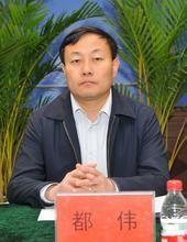 都偉[甘肅省酒泉市市長]