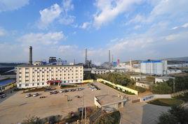 中化雲龍有限公司 中化雲龍有限公司