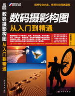數碼攝影構圖從入門到精通 數碼攝影構圖從入門到精通
