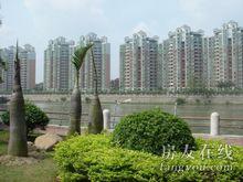 順德碧桂園西苑