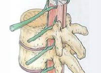 腰椎間盤膨出症 腰椎間盤膨出症