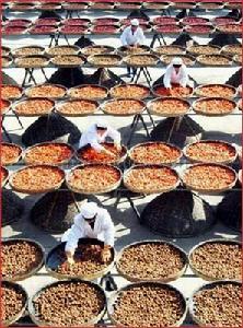 西山鎮[江蘇省]