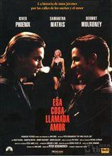 愛情有什麼道理[美國1993年彼得&middot;博格達諾維奇執導電影]