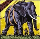 大象絕育師 大象絕育師