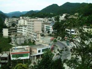 大支坪鎮 大支坪鎮