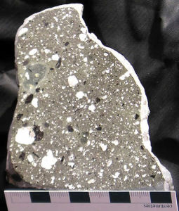 混染作用 混染作用