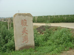 秦皇島一品紅酒業有限公司 秦皇島一品紅酒業有限公司