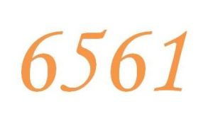 6561 6561