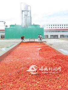 金溝河鎮 金溝河鎮