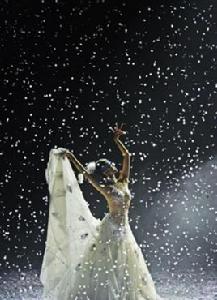 孔雀之冬 孔雀之冬