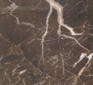 深啡網-2 | Emperarior Dark |