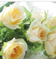 陳氏玫瑰朵數之花語 陳氏玫瑰朵數之花語