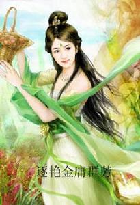逐艷金庸群芳 逐艷金庸群芳