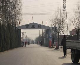 西莊村[福建南安市官橋鎮轄村]