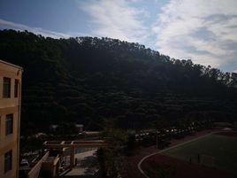 深圳市淘金山國小