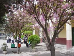 保定市女子職業中專學校 保定市女子職業中專學校