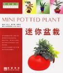 迷你盆栽 迷你盆栽