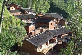 大樹莊村 大樹莊村