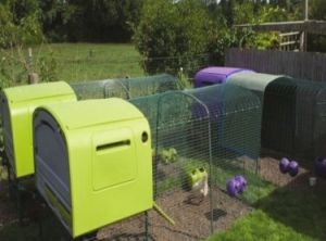 母雞旅館 母雞旅館