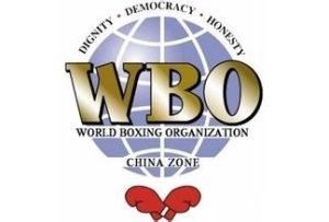 世界拳擊組織 世界拳擊組織
