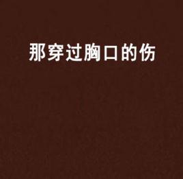 那穿過胸口的傷 那穿過胸口的傷