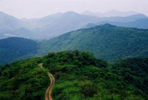 老山國家森林公園