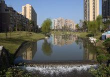 “引青入城”風光（李代華 攝）