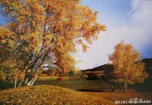 烏蘭布統古戰場