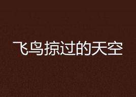 飛鳥掠過的天空 飛鳥掠過的天空