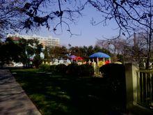 園林別墅式的園區環境