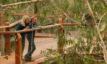 菲利普島[澳大利亞維多利亞州南部西港海灣口的島嶼]