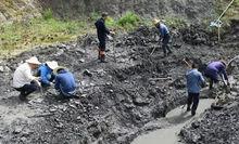 松滋化石點是世界第二個非常重要的陸相PETM