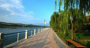 汝矣島公園 汝矣島公園