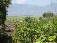 甘蔗場自然村 甘蔗場自然村