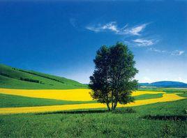 張北壩上 張北壩上