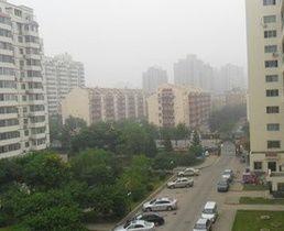 馬連道欣園 馬連道欣園