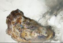 受酸化影響牡蠣的產量下降了一半