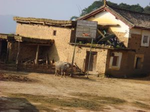 土樹字自然村 土樹字自然村