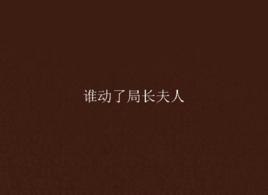 誰動了局長夫人 誰動了局長夫人