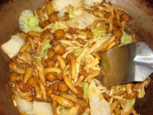 蘑菇炒豬肉絲 蘑菇炒豬肉絲