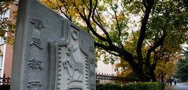 薩里國際學院 薩里國際學院