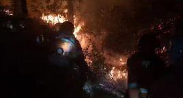 4·12鶴慶森林火災 4·12鶴慶森林火災