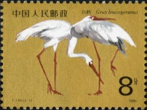 T110 《白鶴》 T110 《白鶴》