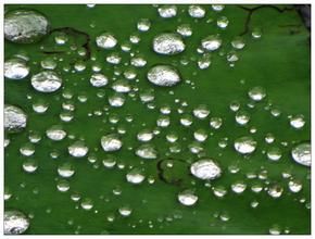 大珠小珠落玉盤