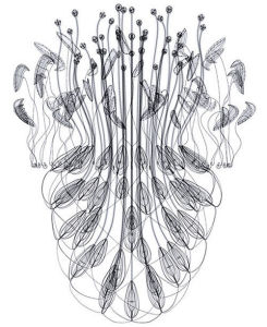 植物繪圖師 植物繪圖師