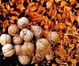 芍藥山核桃 芍藥山核桃